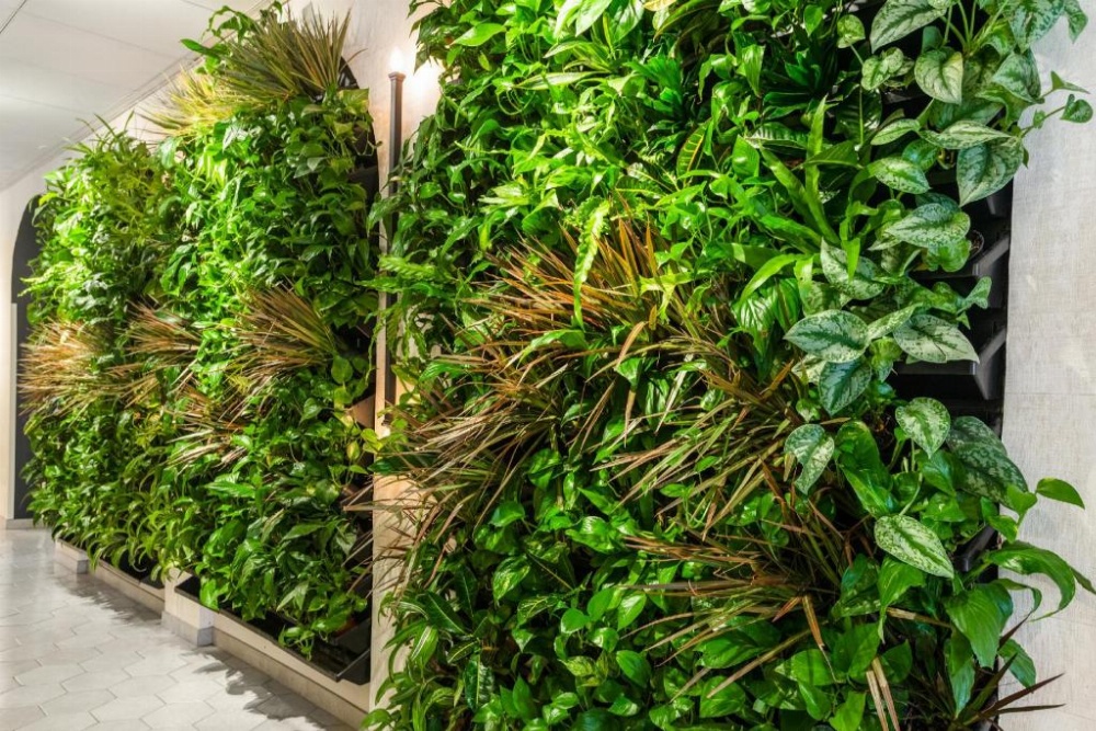 Riverwalk Plaza Hotel And Suites